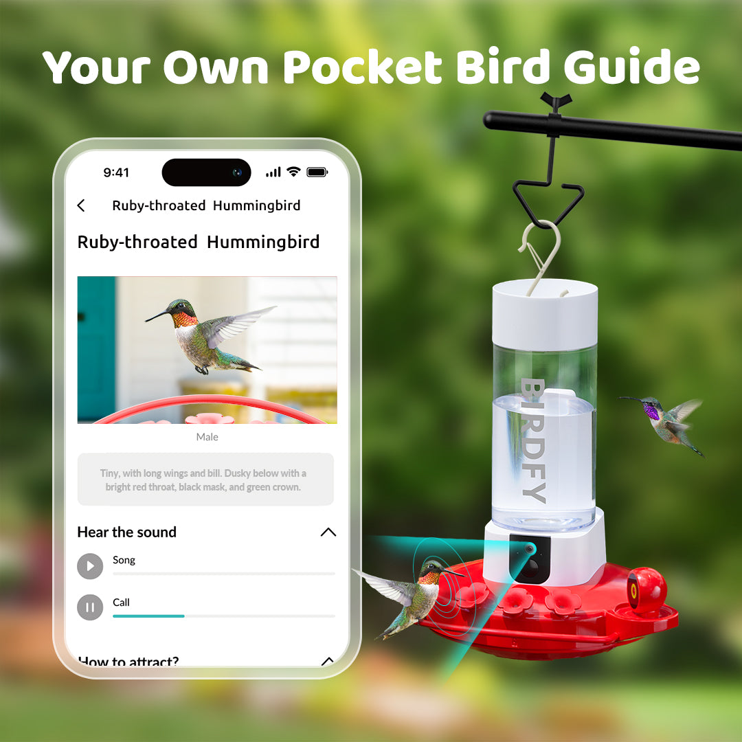 [Pre-order] Birdfy Hum Feeder - Dual-Camera Smart Feeder for Hummingbirds