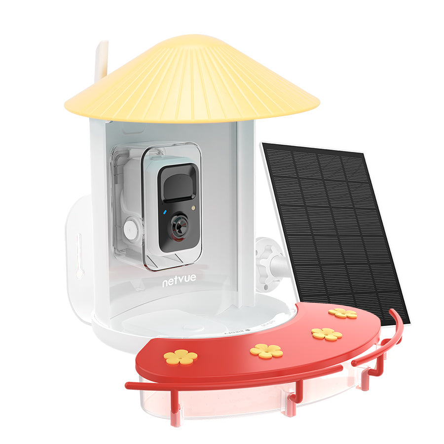 Netvue Birdfy Feeder with Hummee Set