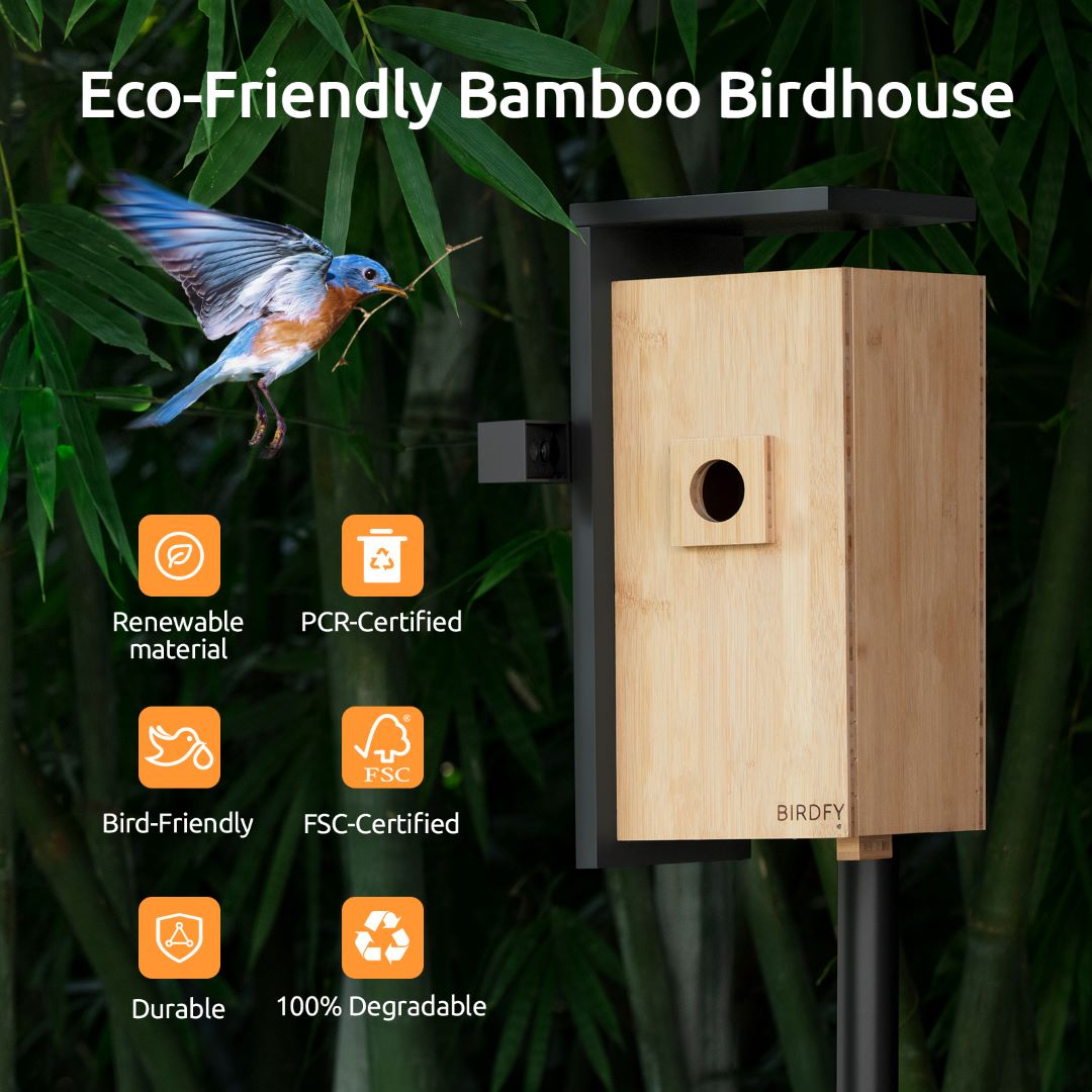 [Pre-order] Birdfy Nest - Dual Camera Smart Bird House