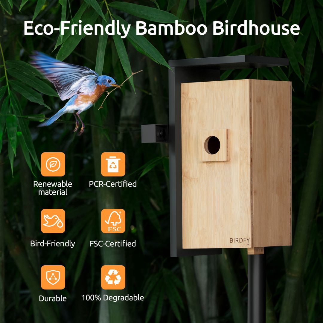 Mangeoire à oiseaux avec caméra, Netvue Birdfy Smart Bird Feeder avec  identification AI gratuite pour l'observation des oiseaux, bleu  (Birdfy+Solar) 