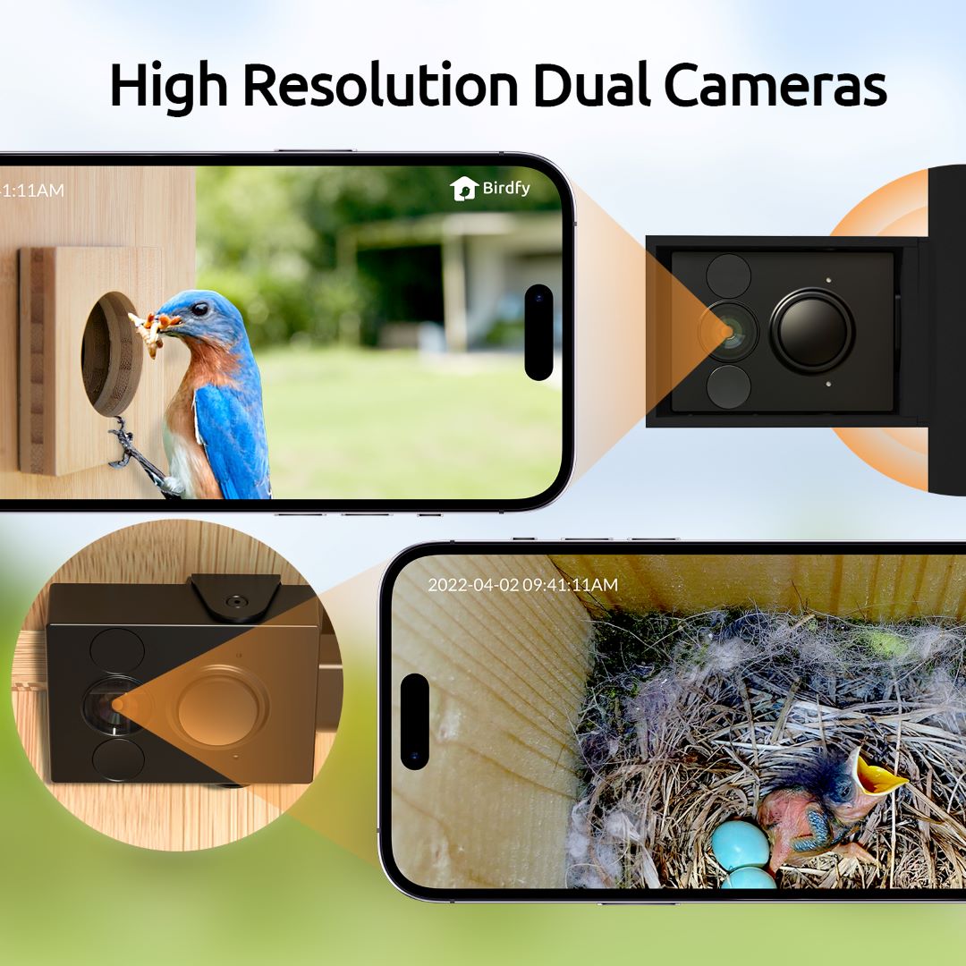 Birdfy Nest - Dual Camera Smart Bird House – netvue