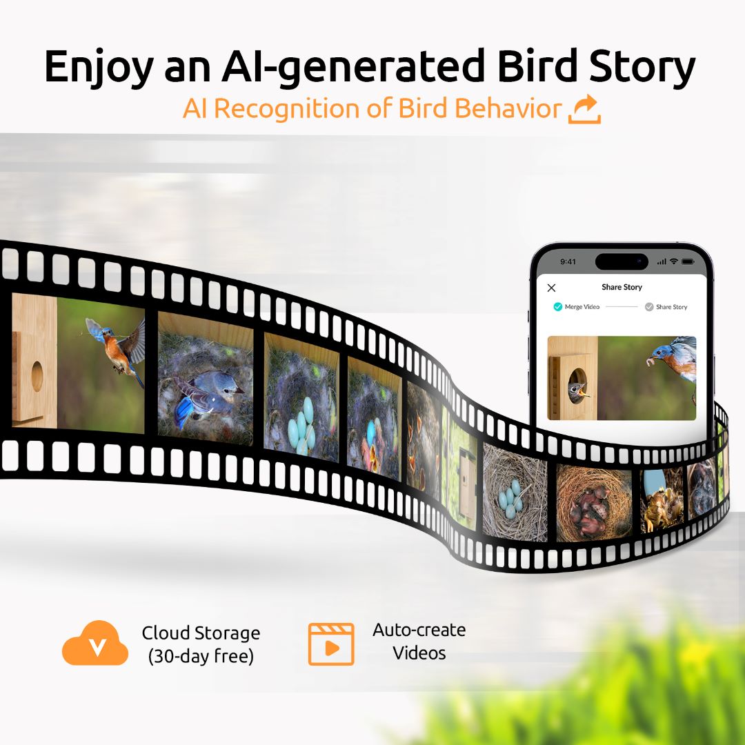 [Pre-order] Birdfy Nest - Dual Camera Smart Bird House