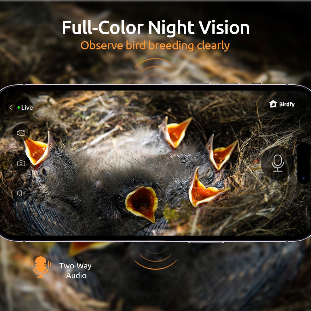 [Pre-order] Birdfy Nest - Dual Camera Smart Bird House
