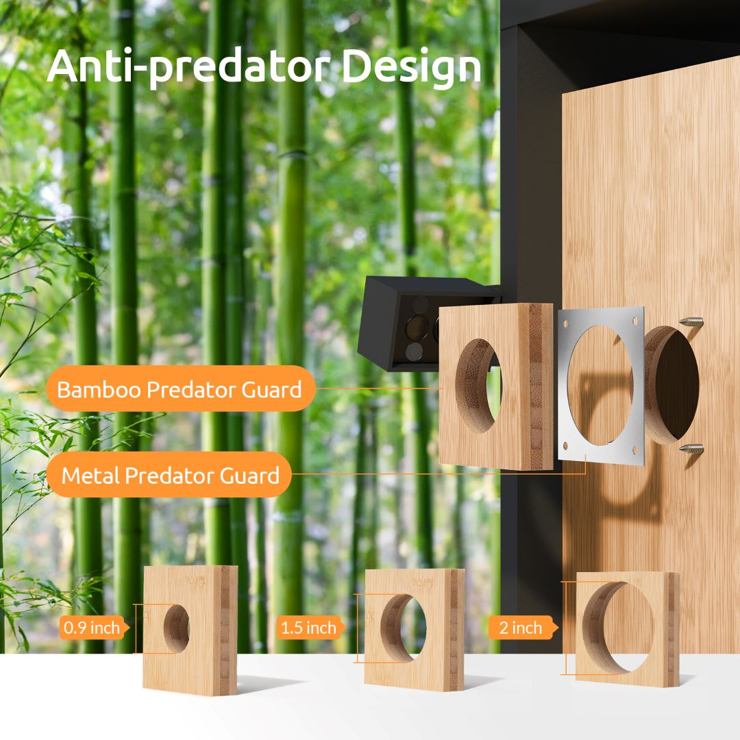 Birdfy Nest - Dual Camera Smart Bird House – netvue