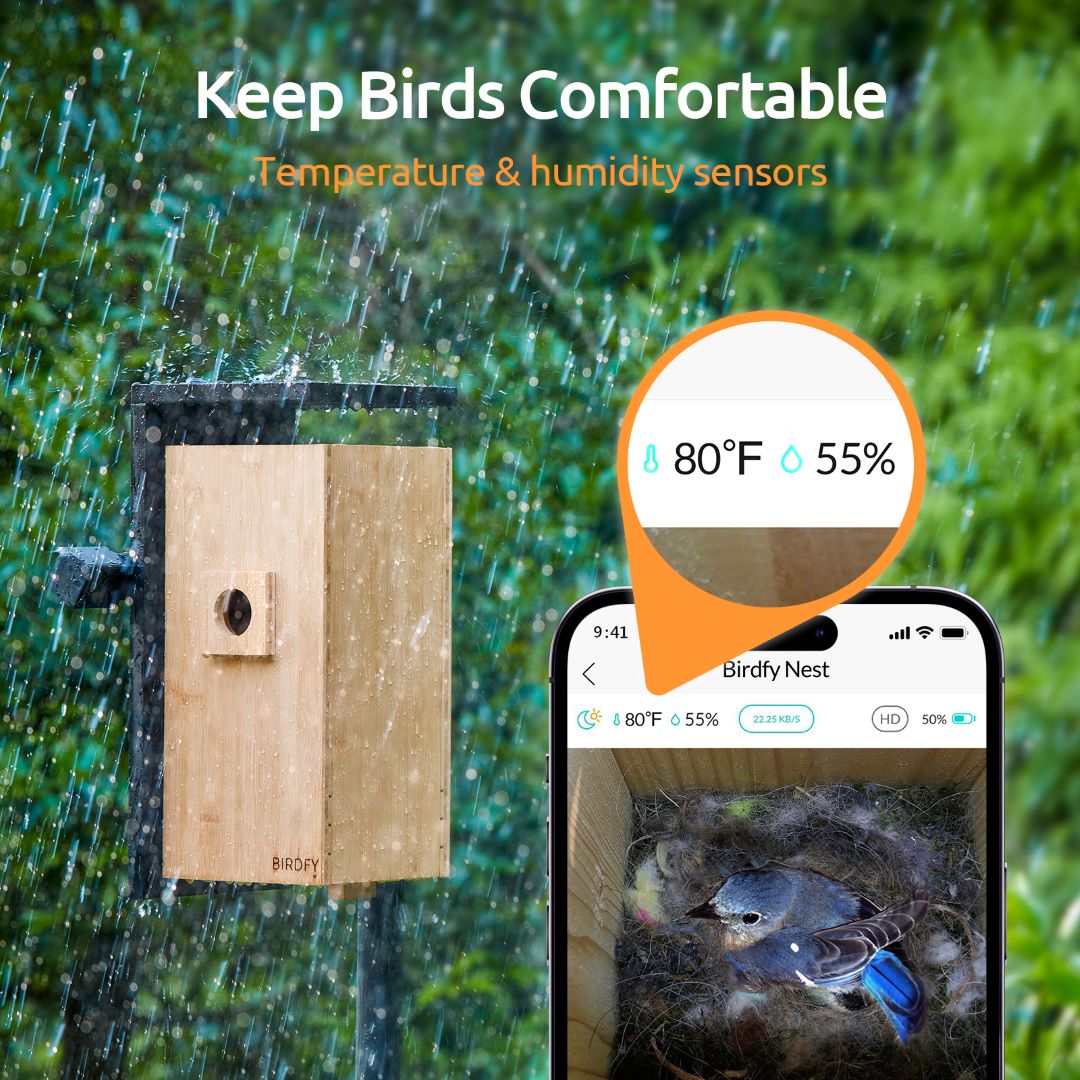 Nichoir à oiseaux avec caméra WiFi  Bird box camera, Bird boxes, Box camera