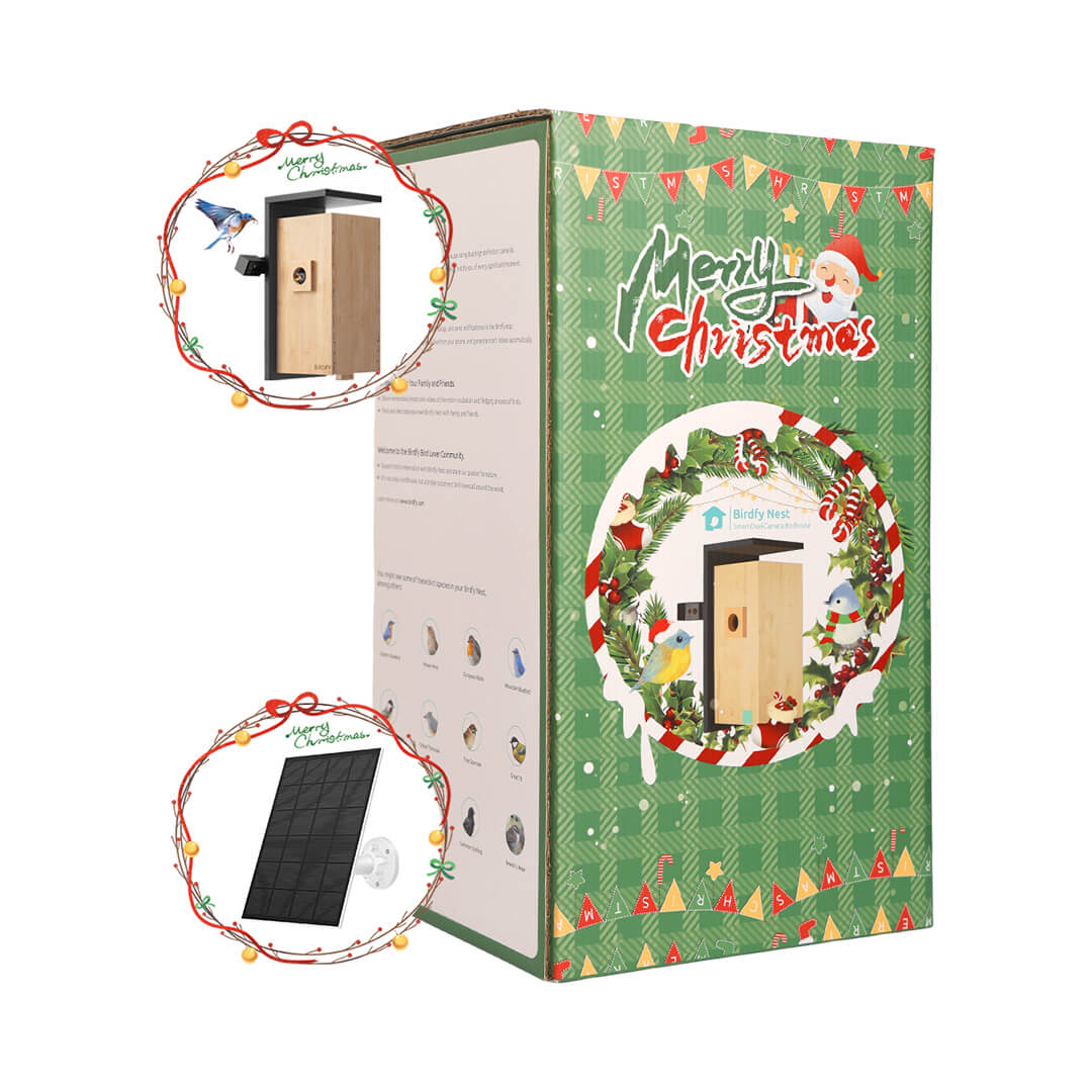 [Pre-order] Birdfy Nest Christmas Special