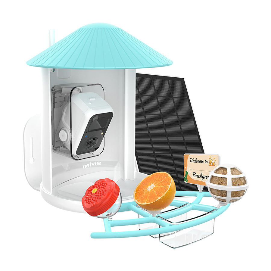Netvue Birdfy Feeder with Pro Perch Set