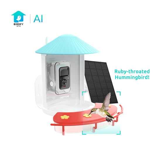 Netvue Birdfy Feeder with Hummee Set