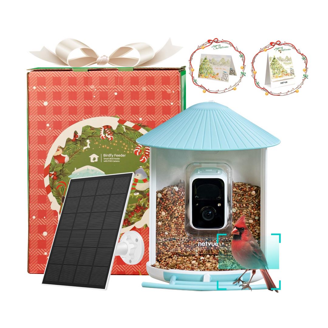 Christmas Special - Birdfy Smart Feeder Christmas Special