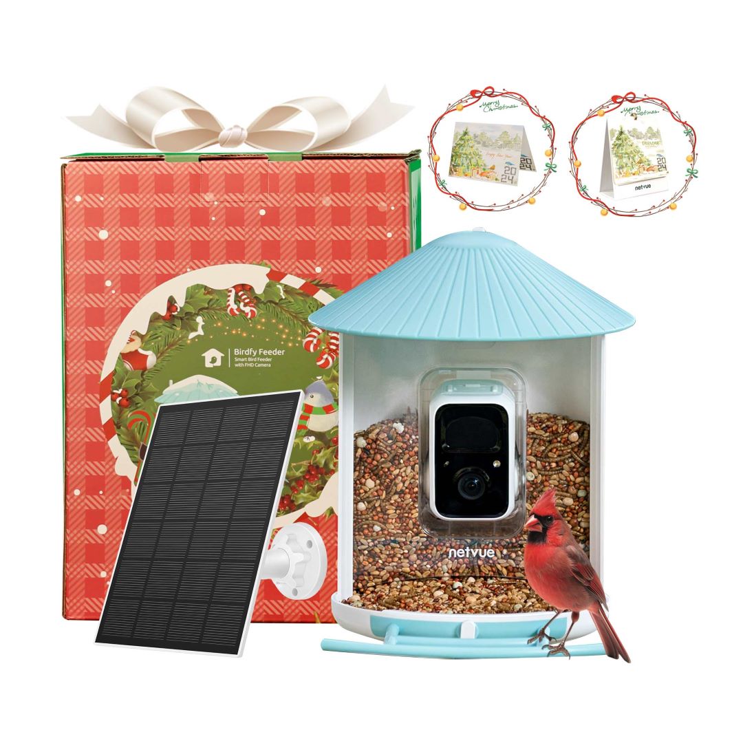 Christmas Special - Birdfy Smart Feeder Christmas Special