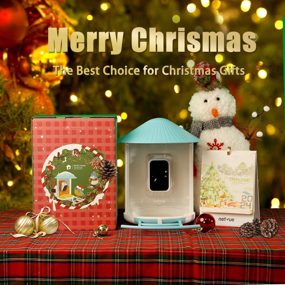 Christmas Special - Birdfy Smart Feeder Christmas Special
