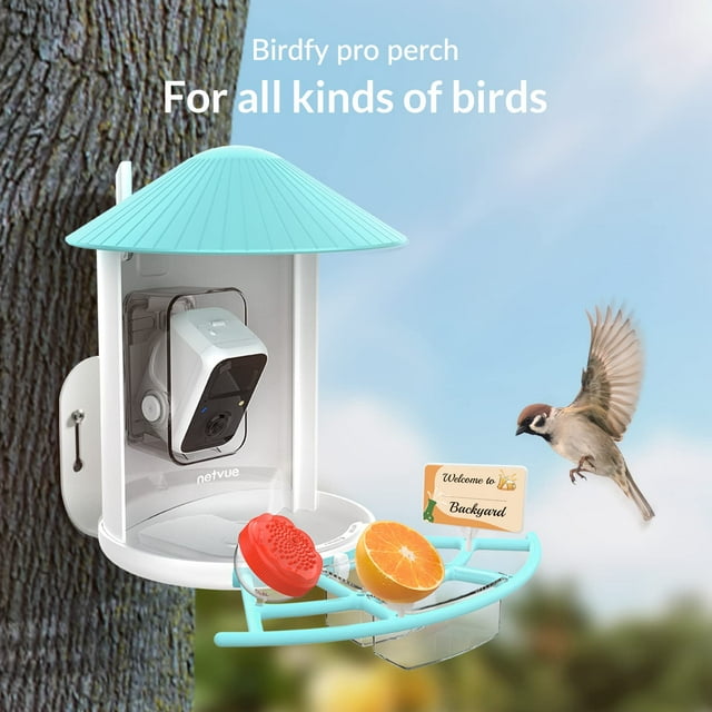 Netvue Bird feeder Birdfy Lite Pro+Solar