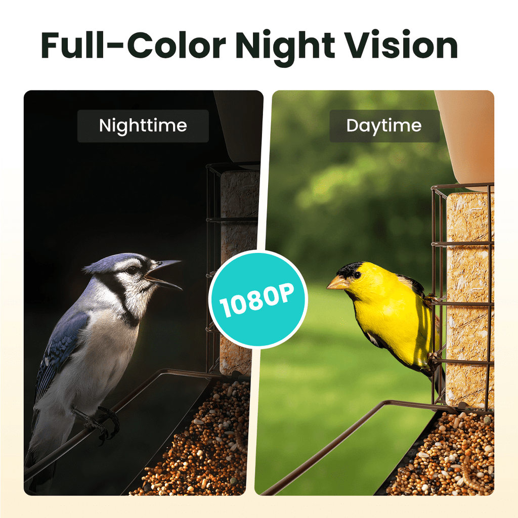 Birdfy Smart Bird Feeder with Camera, 1080P HD 60FPS Video, AI Bird Id ...