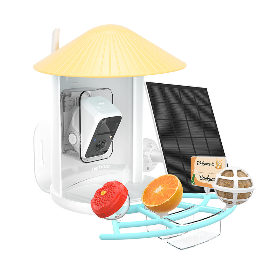 Netvue Birdfy Feeder with Pro Perch Set