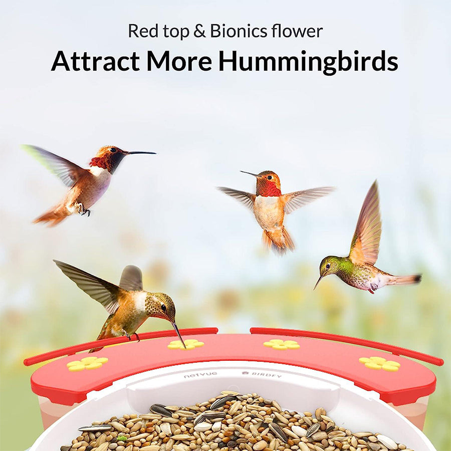 Netvue Birdfy Feeder AI with Hummee Set
