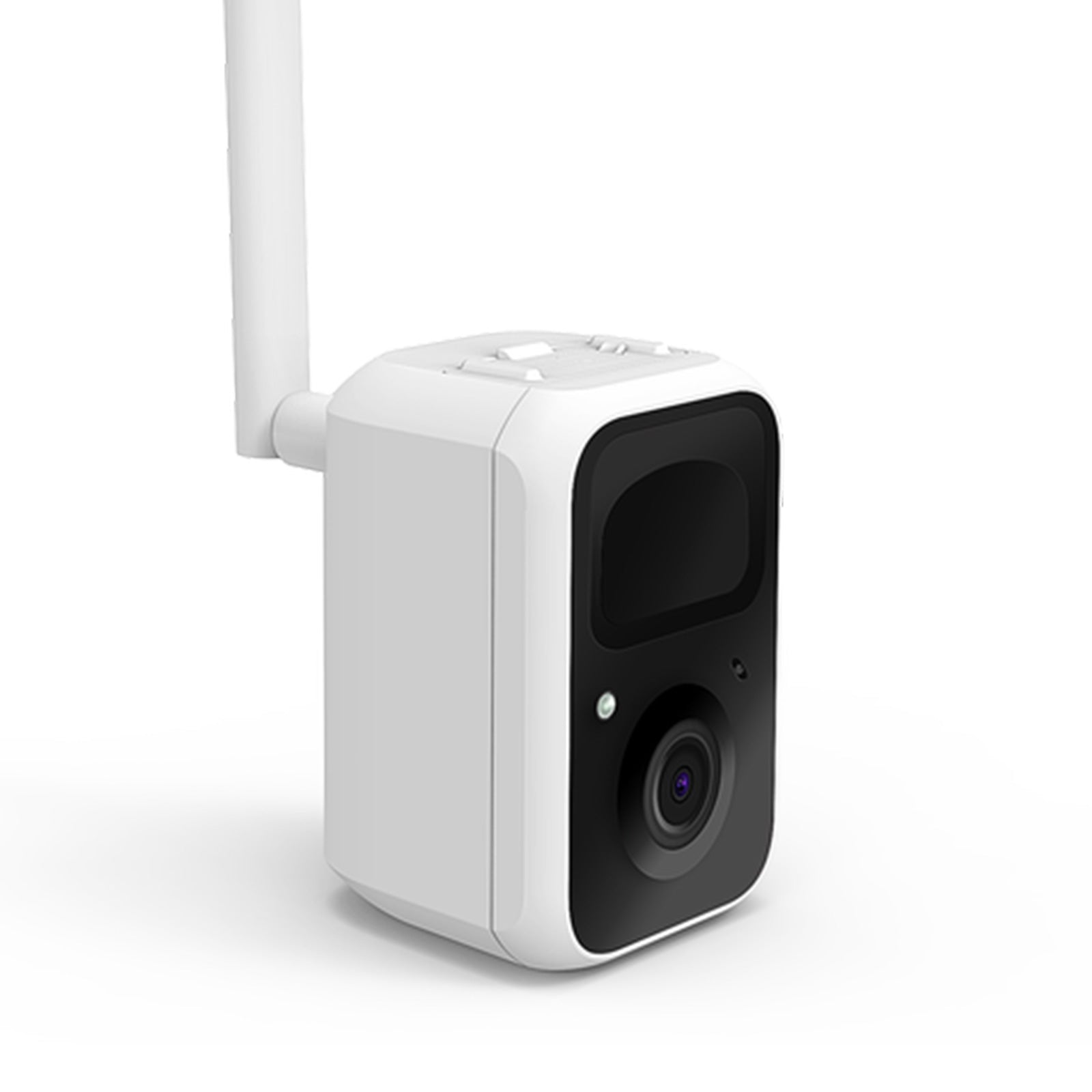 Birdfy Cam Bird Camera With Motion Detection