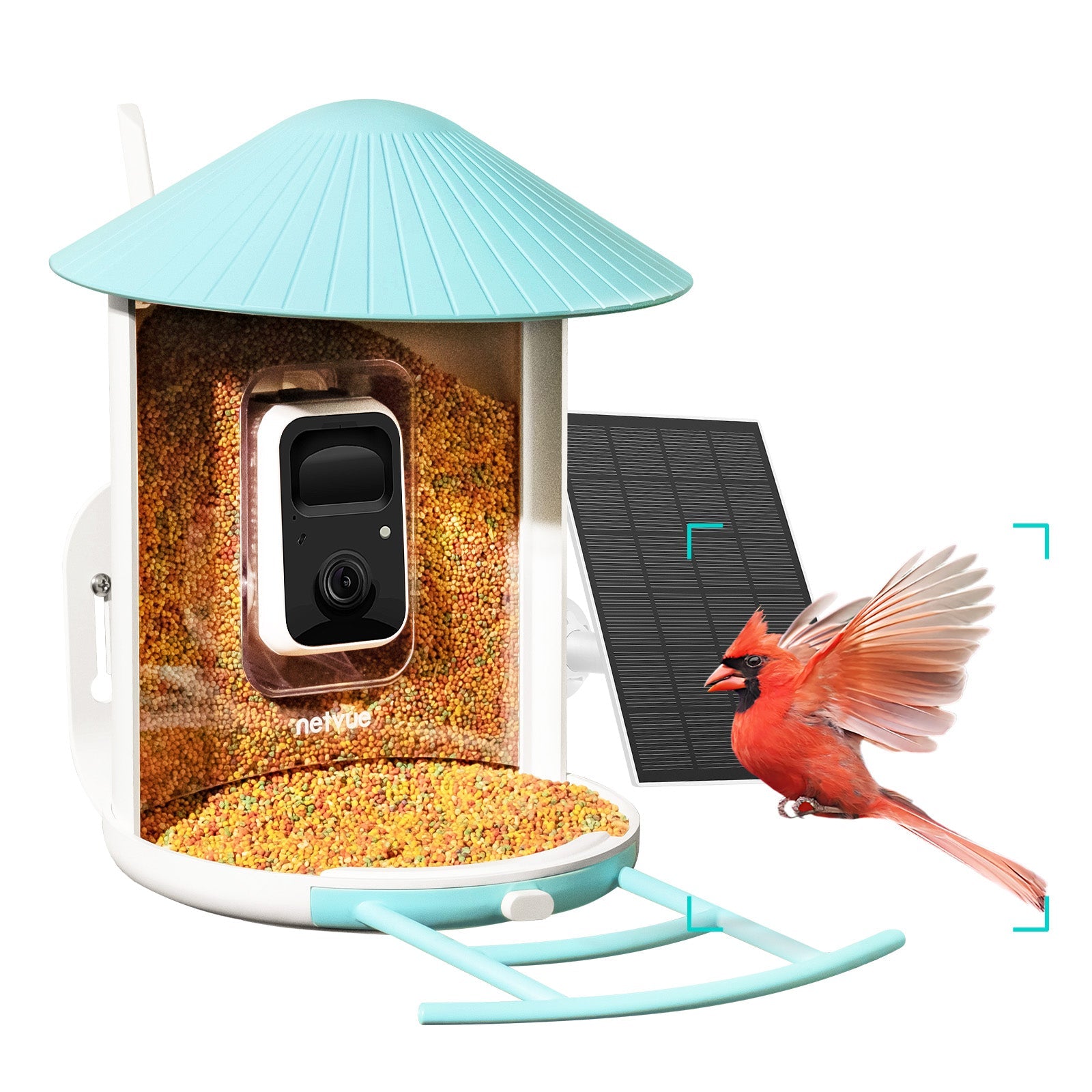 Netvue Solar Panel for Birdfy Bird Feeder Camera- Type C