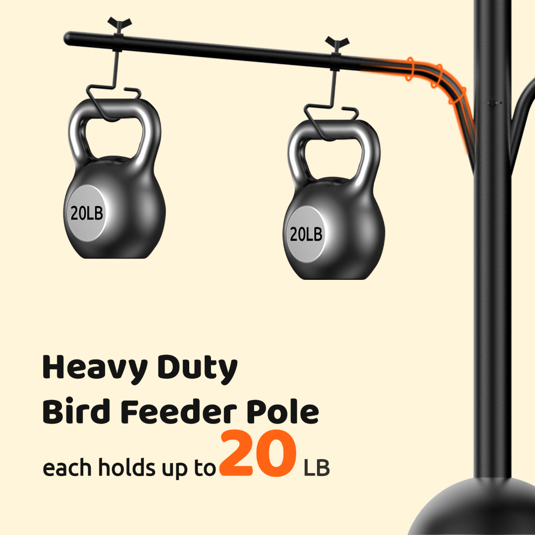 Birdfy Pole Station