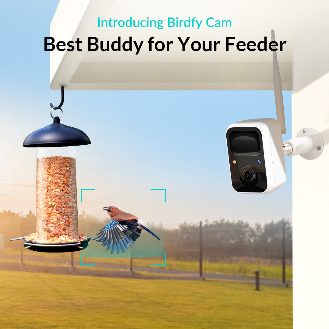 motion activated camera for birds