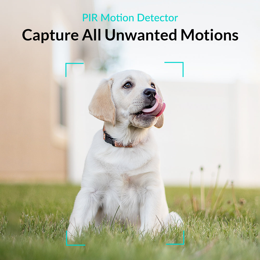 Spotlight Cam 1080p | Light Up Every Spot - netvue